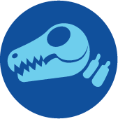 Paleontology icon
